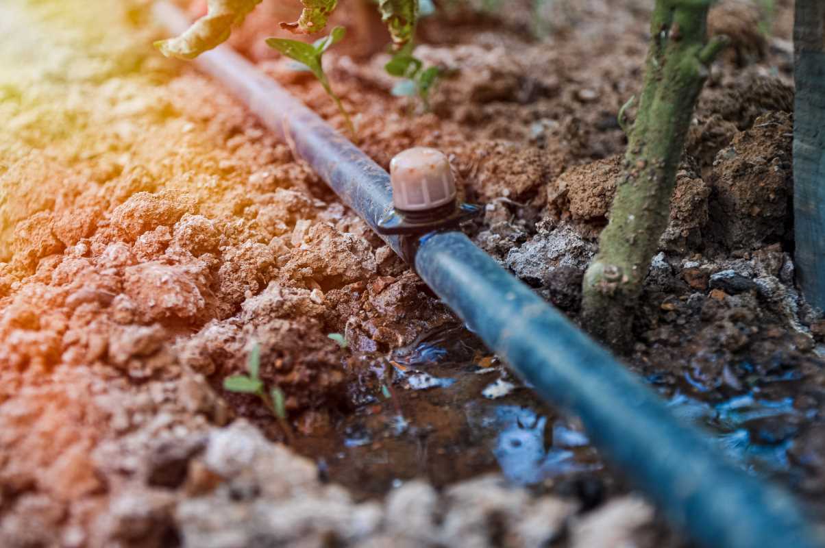 Installing a Drip Irrigation System for Water Efficiency